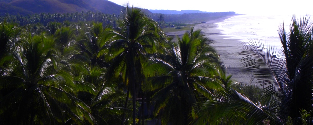 Upper Michoac&aacute;n