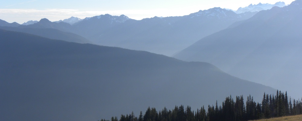 Hurricane RidgeOlympic National Park