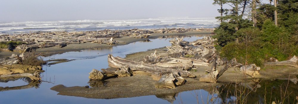 Olympic PeninsulaCoast of Washington