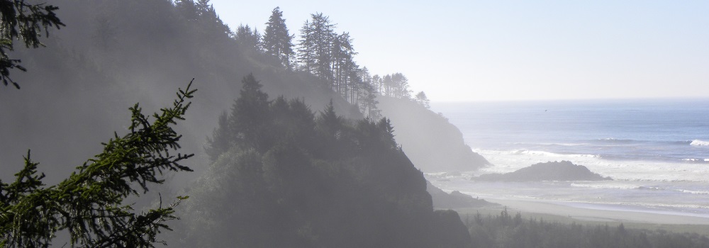 Olympic PeninsulaCoast of Washington