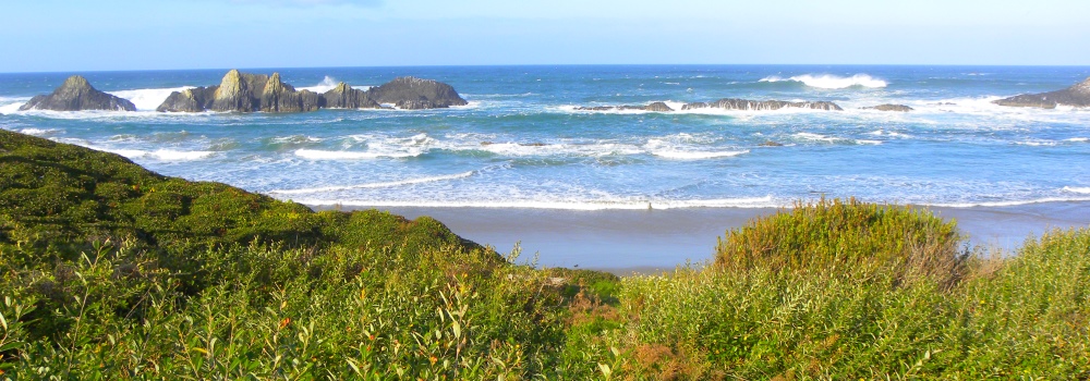 Offshore Rocks near Seal Rock