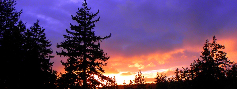 Sunset at Homeon Whidbey Island