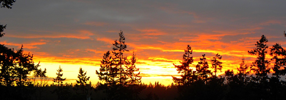 Evening Sunglowis Just Amazing