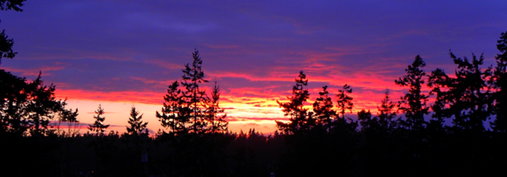 Evening Sunglowis Just Amazing