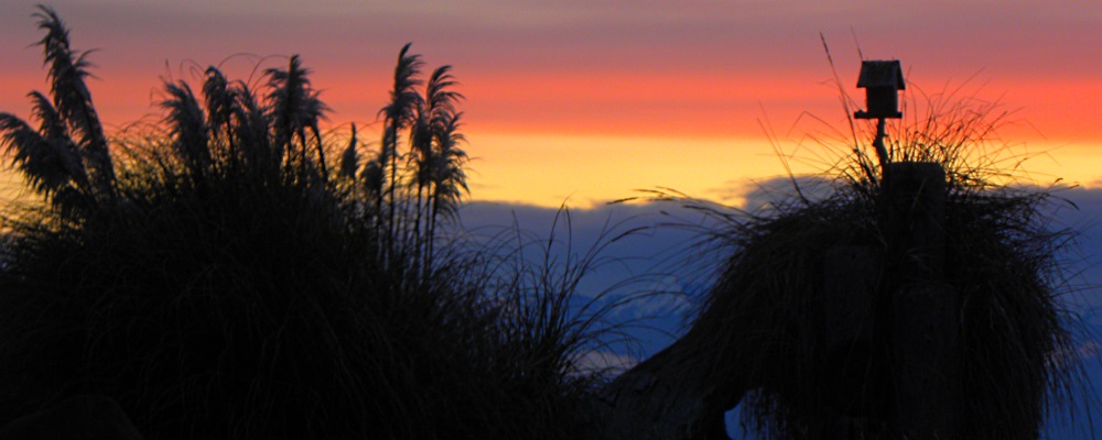 Sunset abovePuget Sount