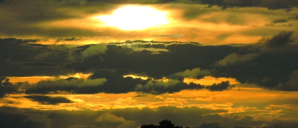 Evening Sunglowover Middle Tennessee