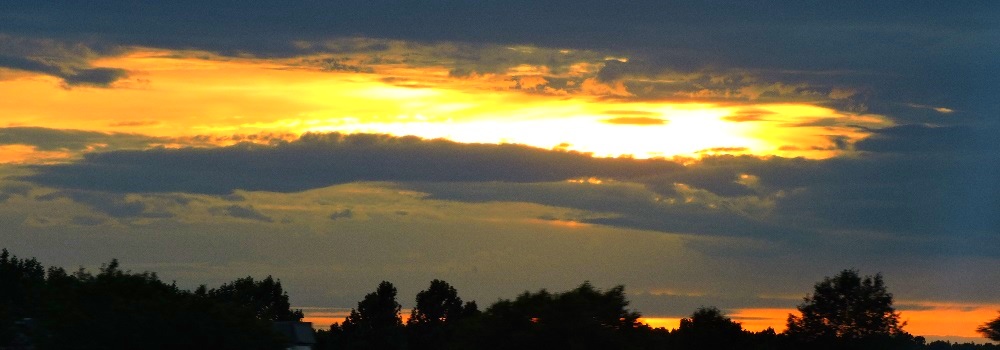 Evening Sunglowover Middle Tennessee