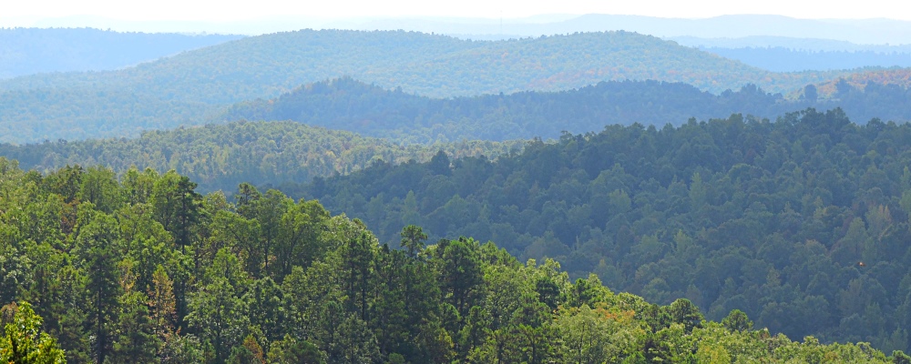 OuachitaNational Forest