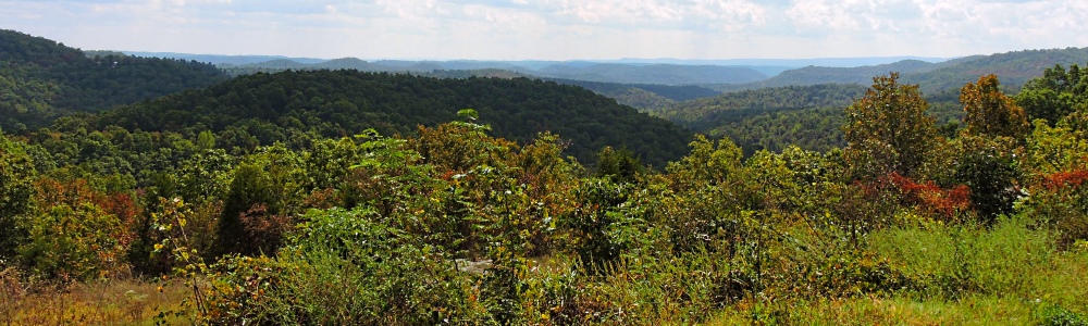 OuachitaNational Forest