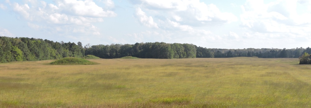 Pharr MoundNatchez Trace Parkway