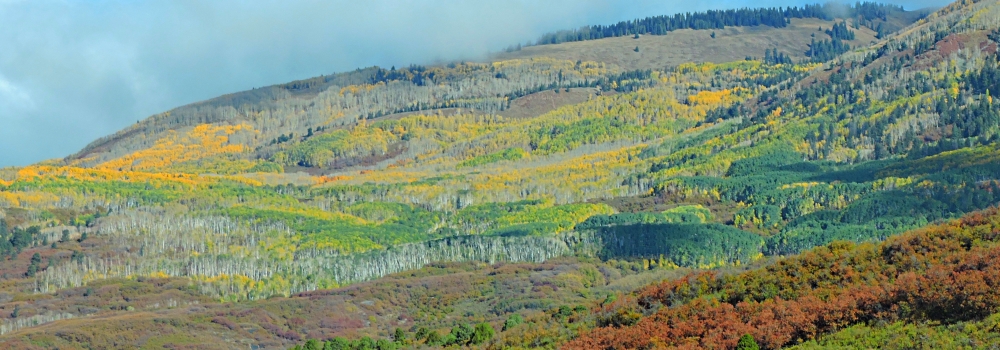 CO State Highway 140With Fall Folage