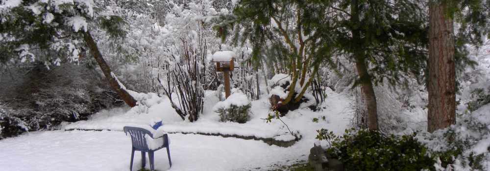 Late Seasonal Snow