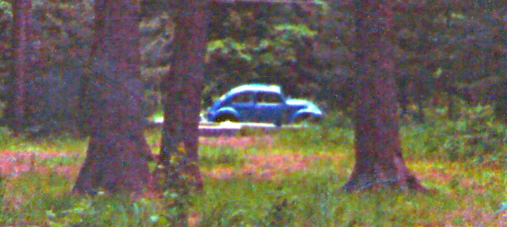 A Wayfarer&prime;s Wheels1966 VW Bug
