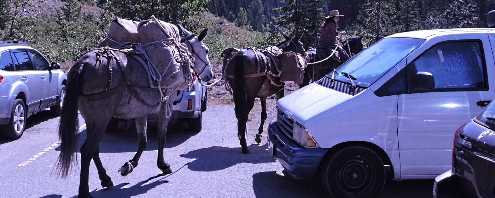 The 1997 AeorstarAugust, 2020 Journey