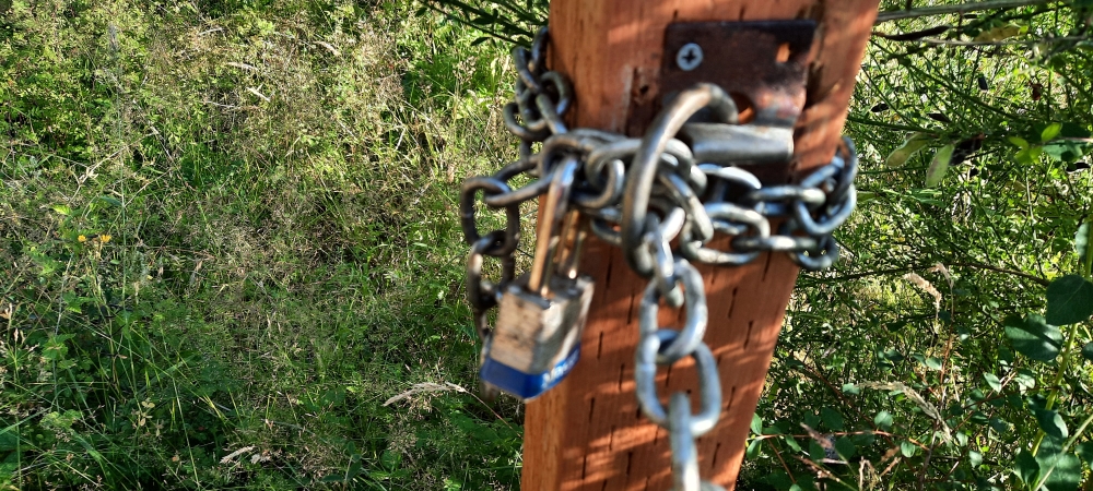 A Wayfarer&prime;s Work atThe Oak Harbor House