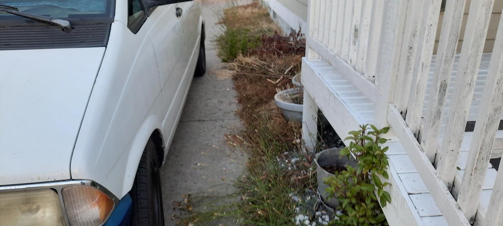 A Wayfarer&prime;s Work atThe Oak Harbor House