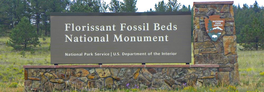 Fossils in ColoradoFlorissant Fossil Beds