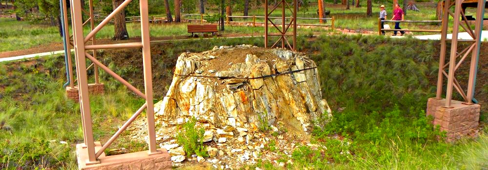 Fossils in ColoradoFlorissant Fossil Beds