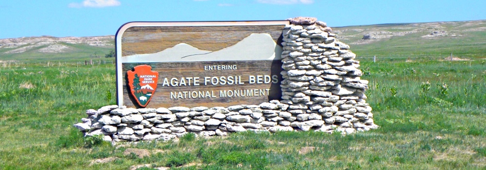 The Fossilsat Agate Fossil Beds