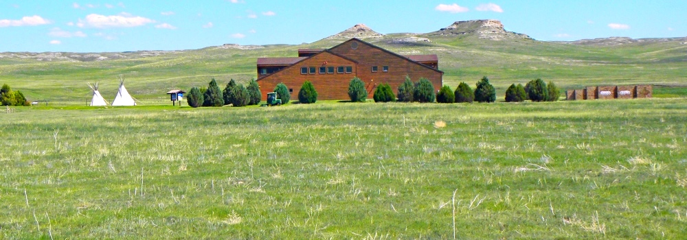 The Fossilsat Agate Fossil Beds