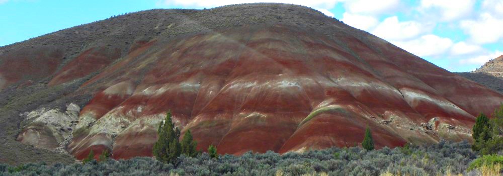 Fossils atJohn Day Fossil Beds