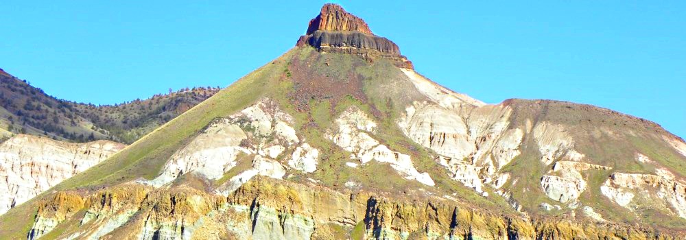 Fossils atJohn Day Fossil Beds