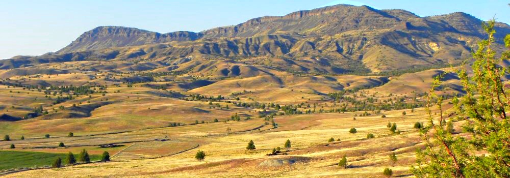 Fossils atJohn Day Fossil Beds