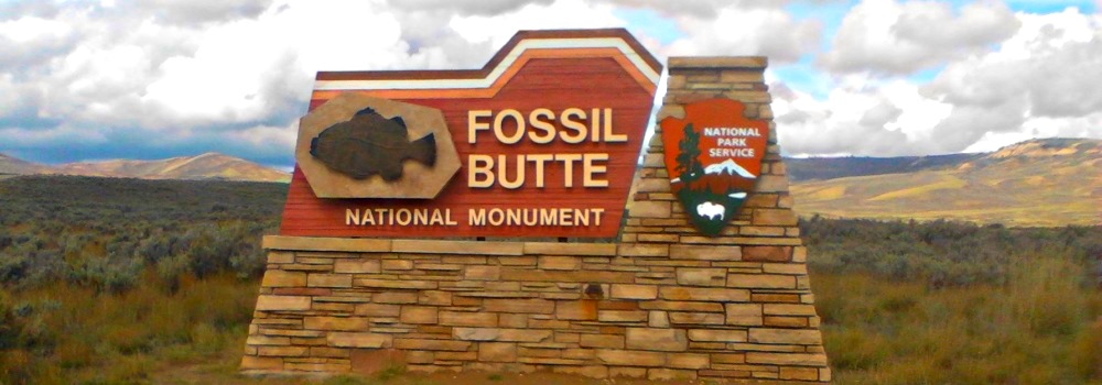 The Fossils#13;at Fossil Butte Fossil Beds