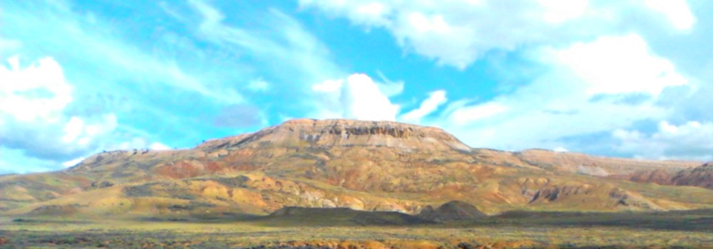 The Fossils#13;at Fossil Butte Fossil Beds