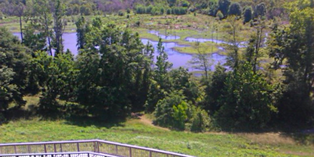 The Ocmulgee Mounds