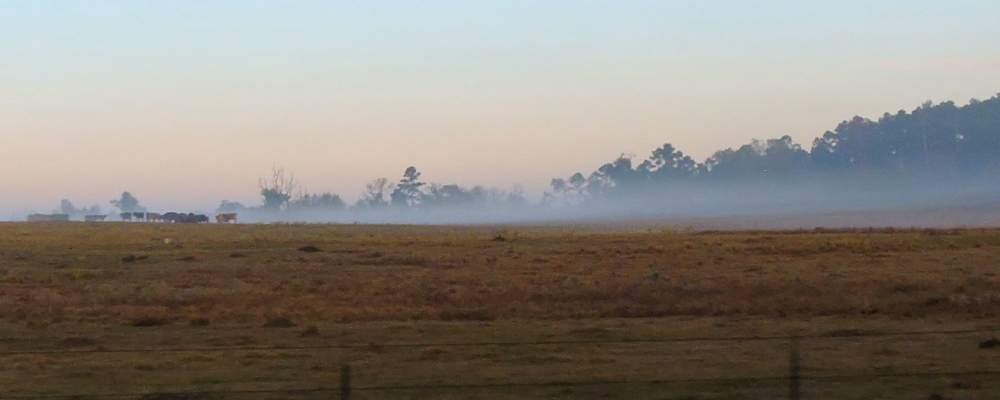 The Caddoan Mounds