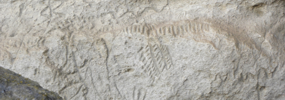 The Petroglyphat Lava Beds