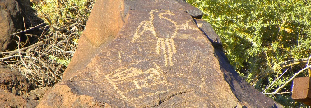 Petroglyph Nat. Mon. Boca Negra Canyon