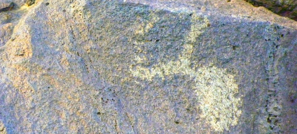Petroglyph Nat. Mon. Boca Negra Canyon