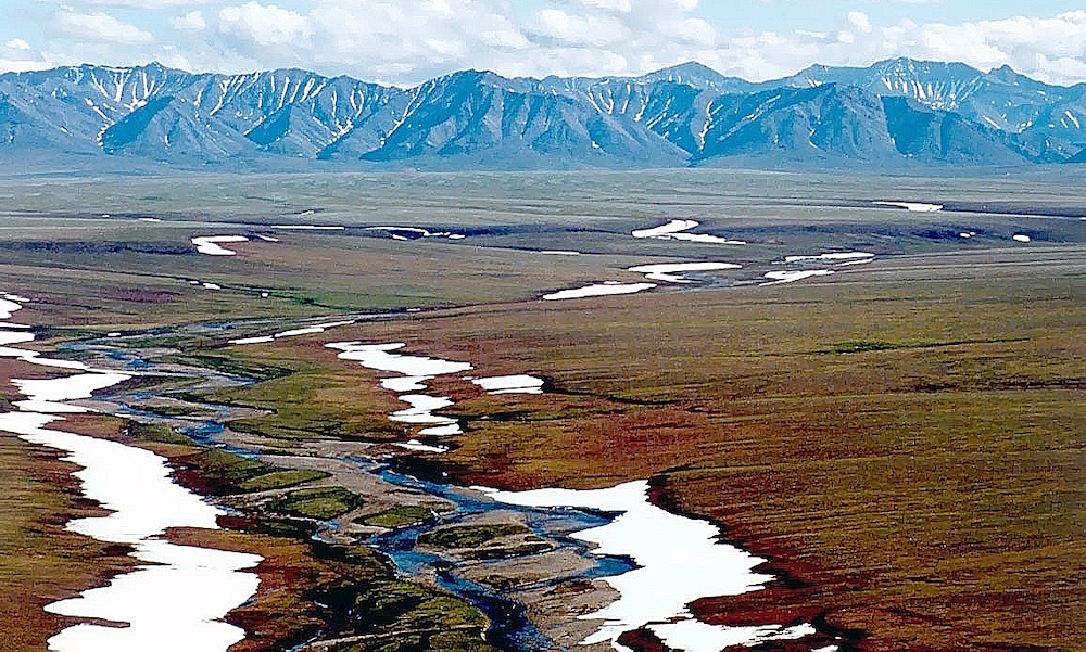 The Rocky Mountains RegionThe Chukchi Sea Lowlands Ecoregion