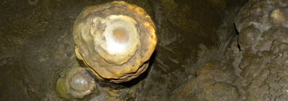 Fried Egg atLewis & Clark