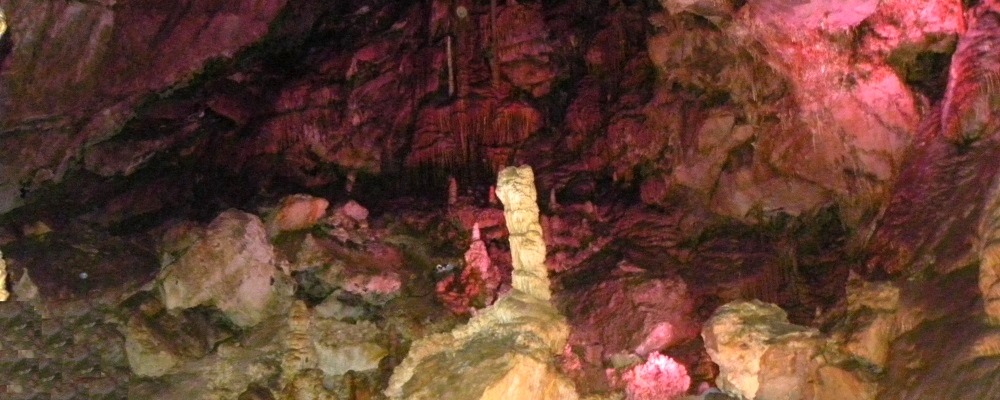 The Colors atLewis & Clark