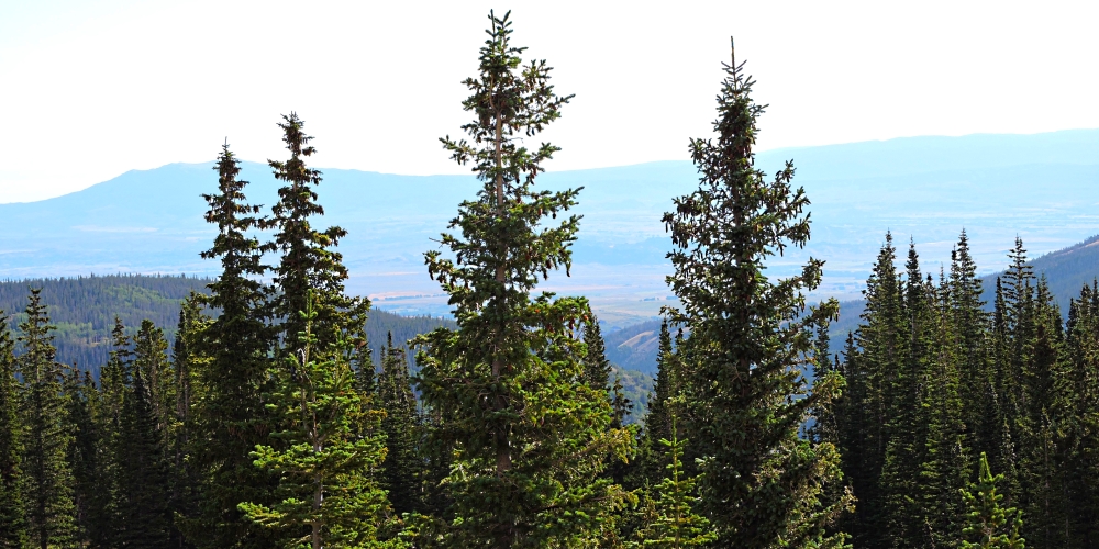 The Rocky MountainsSierra Madre Mountains: Battle Pass