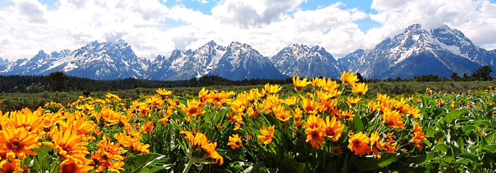 The Rocky MountainsThe Grand Teton Range