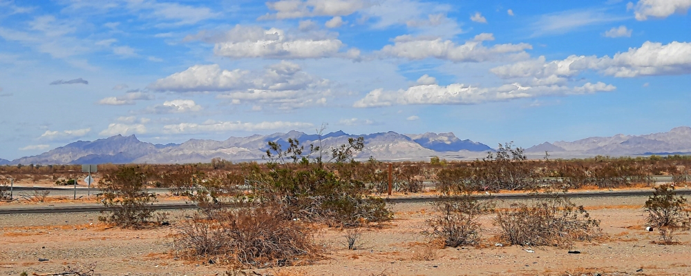 The Basin and Range RegionThe Sonoran Desert