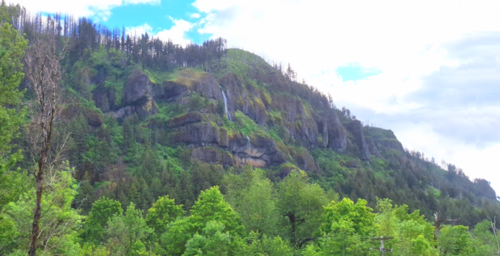 The Pacific Coast RegionThe Columbia River Gorge