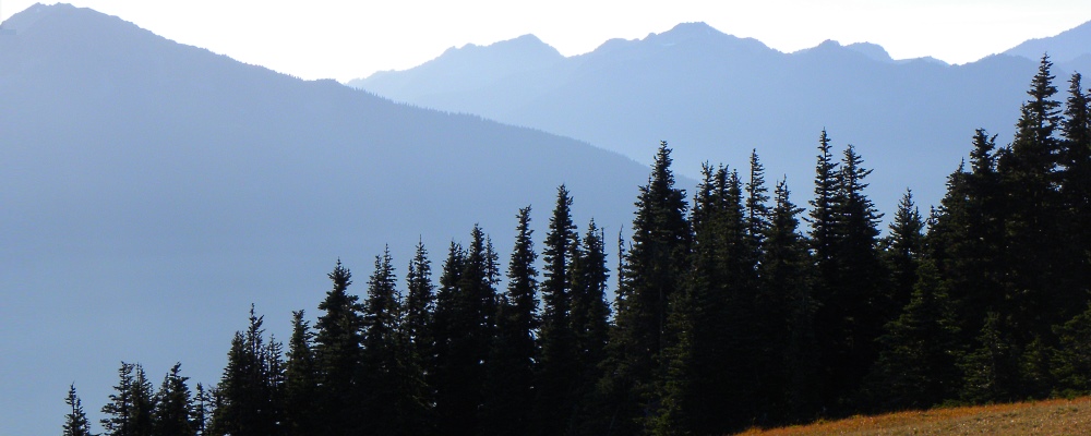 The Pacific Coast RegionThe Coastal Ranges
