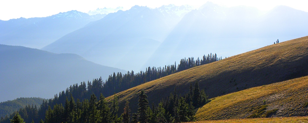 The Pacific Coast RegionThe Coastal Ranges