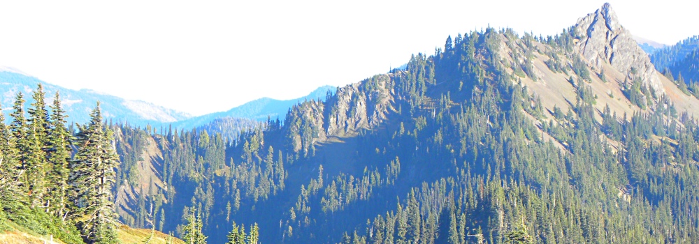 The Pacific Coast RegionThe Coastal Ranges