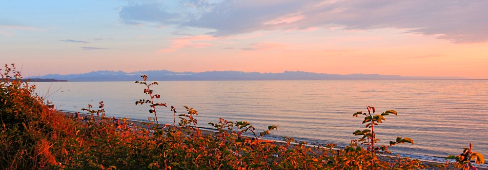 The Pacific Coast RegionThe Olympic Mountains