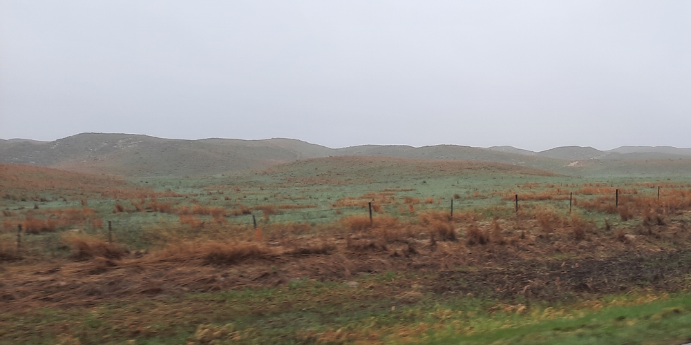 The Great Plains RegionThe Nebraska Sand Hills Ecoregion