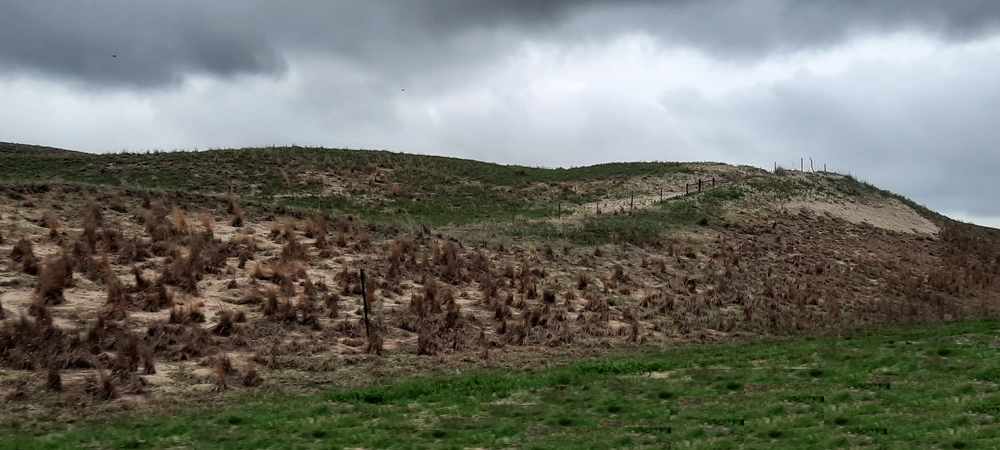 The Great Plains RegionThe Nebraska Sand Hills Ecoregion