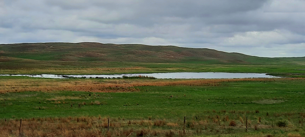 The Great Plains RegionNebraska Sand Hills: Wildlife Refuges