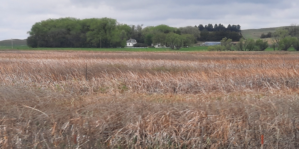 The Great Plains RegionNebraska Sand Hills: Wildlife Refuges