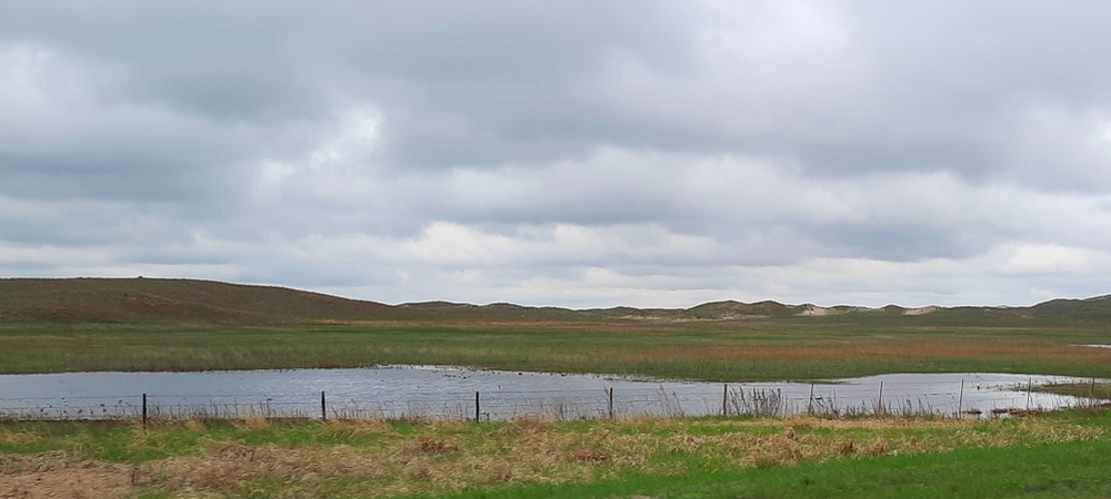 The Great Plains RegionNebraska Sand Hills: Wildlife Refuges